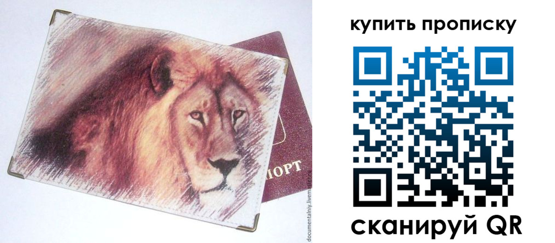 прописка паспорт в Скопине